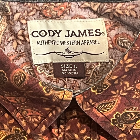 VTG Cody James Country Western Long Sleeve Paisley Pearl Snap Shirt L EUC - Picture 4 of 7